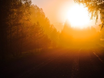 Luz del sol y sus&nbsp;beneficios